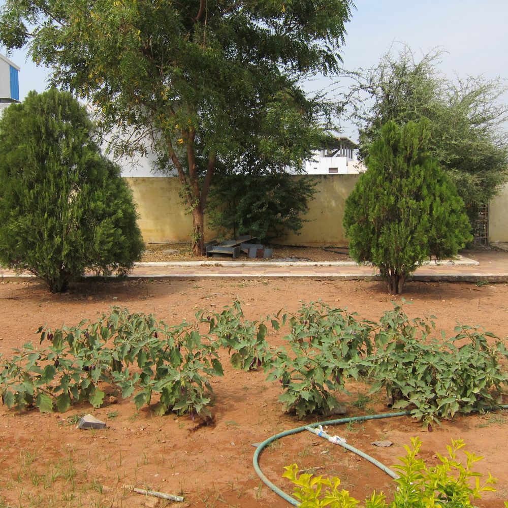 04_pallopathula_madhu