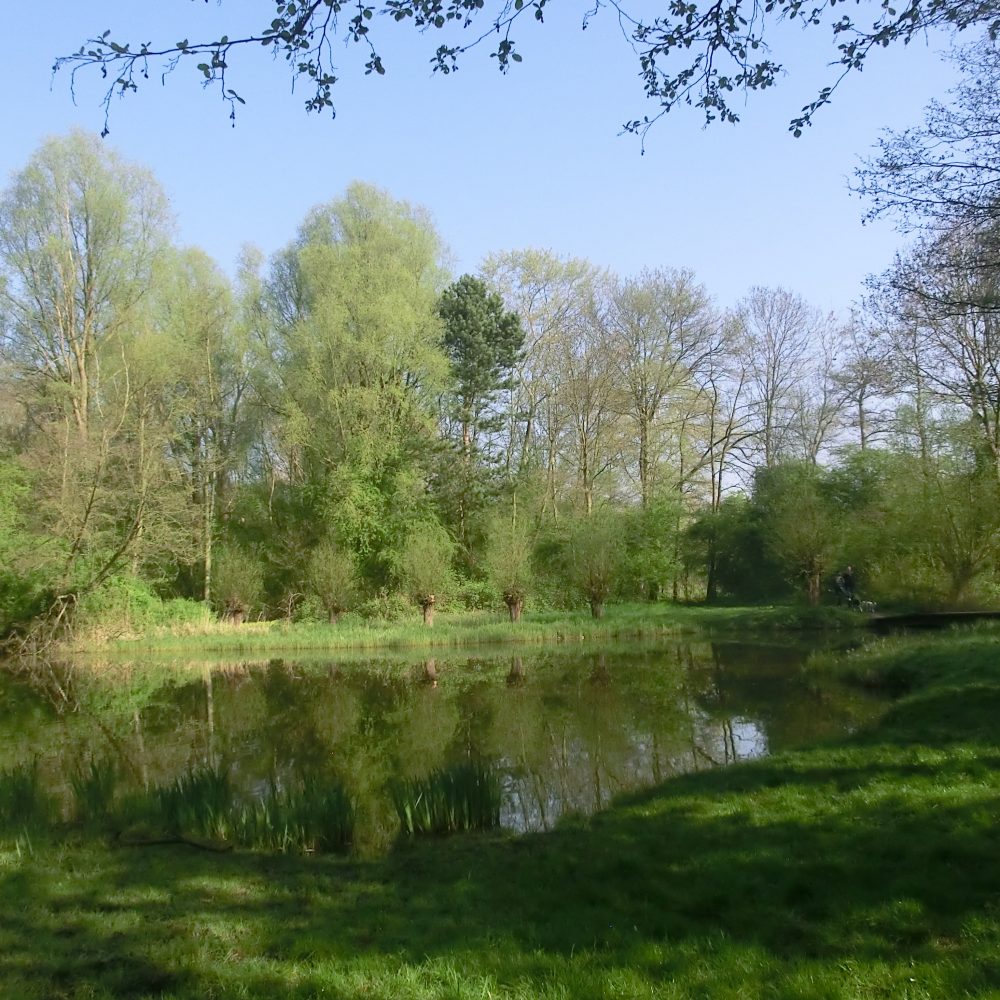 08_gwen_treurniet