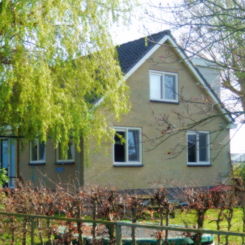 09_mike_zeestraten