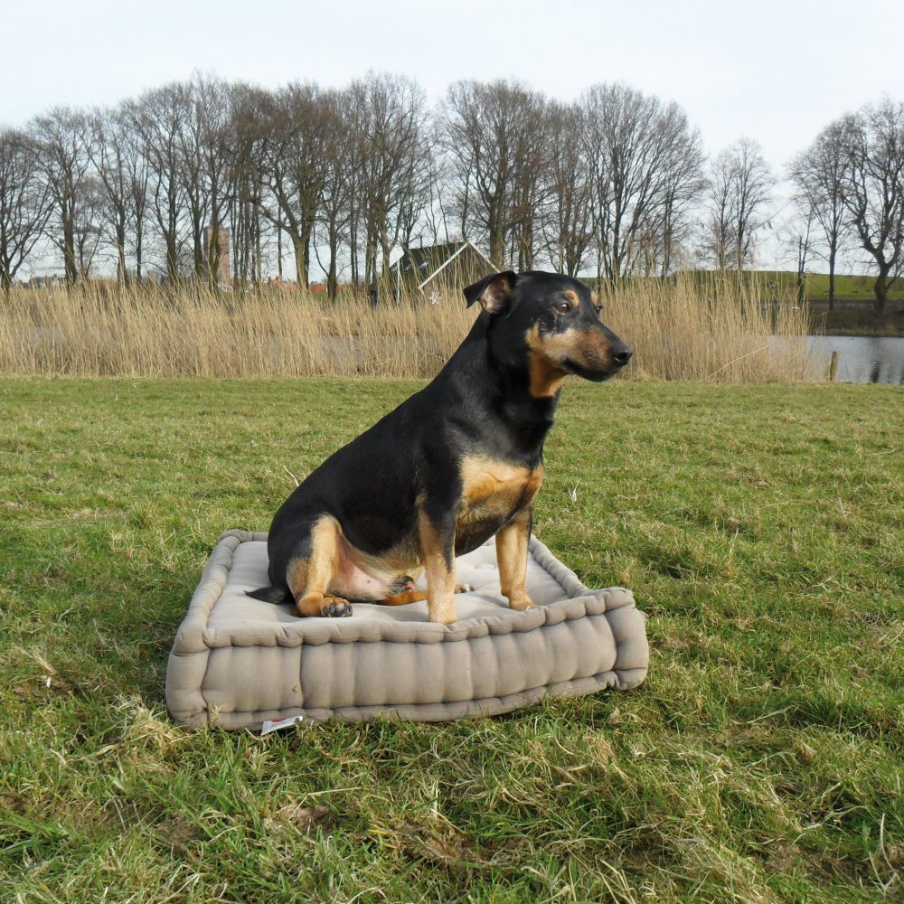 09_pam roelofs
